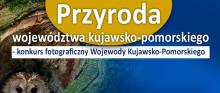 Miradzcy leśnicy laureatami konkursu fotograficznego pn. „Przyroda województwa kujawsko-pomorskiego” – edycja 2022!