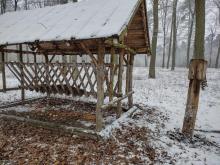 Dokarmianie ptaków i zwierzyny w lesie